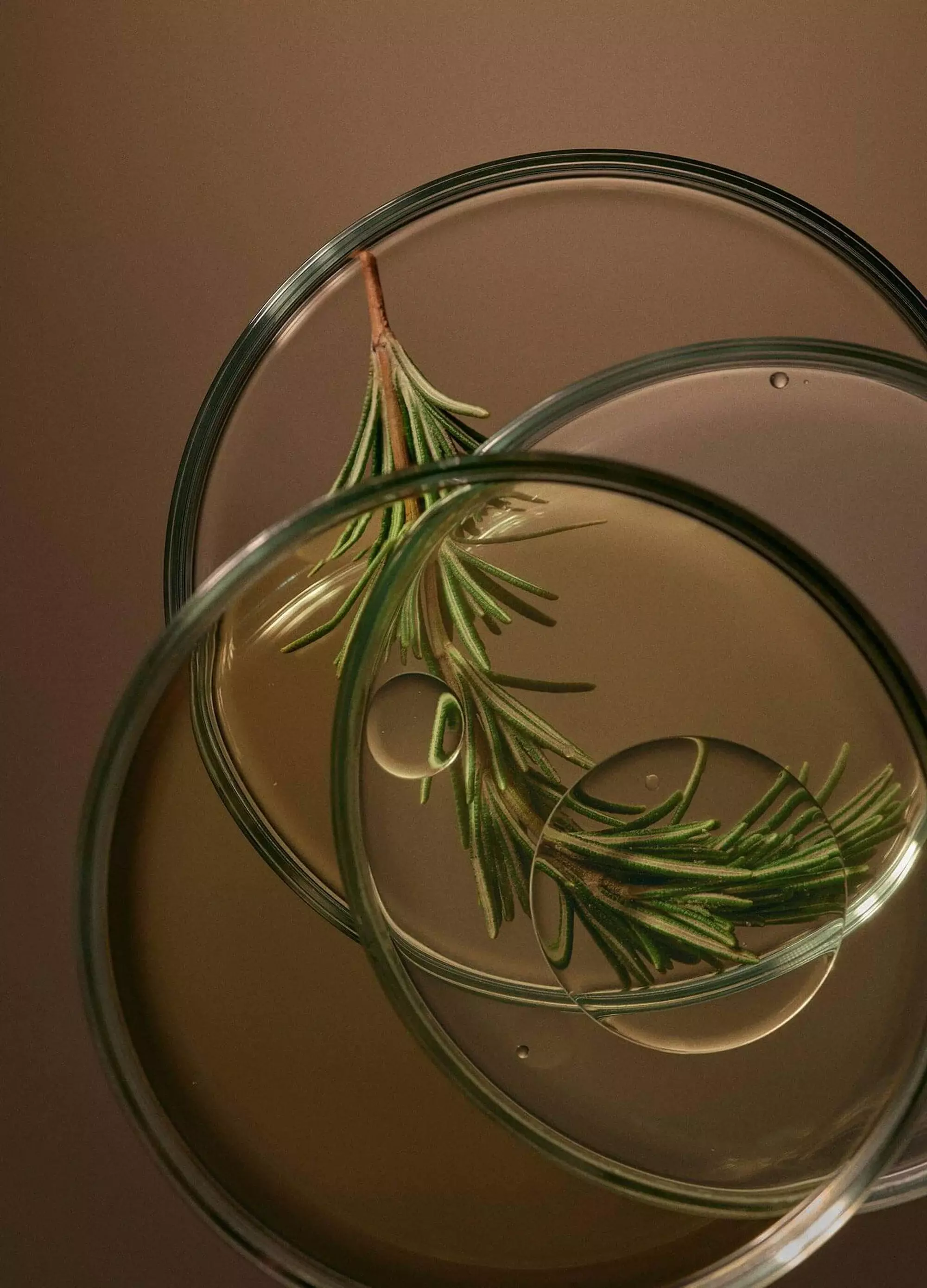 Essential oils known to soothe and replenish